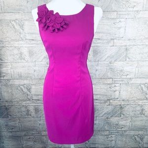 Alyx Purple/ Pink Shift Dress Size 6P